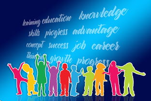 米兰体育足球-中国篮球职业联赛品牌战略及市场推广研究，中国的职业篮球联赛