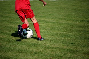 米兰体育官网下载-中国篮球教练员战术创新培训体系，全国篮球教练员岗位培训